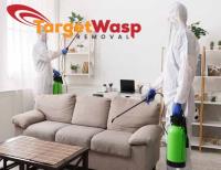 Target Wasp Removal Brisbane image 5